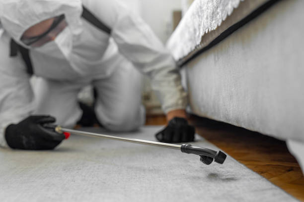 Professional Bed Bug Control technician working in Woodville, OH